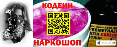индика Кулебаки