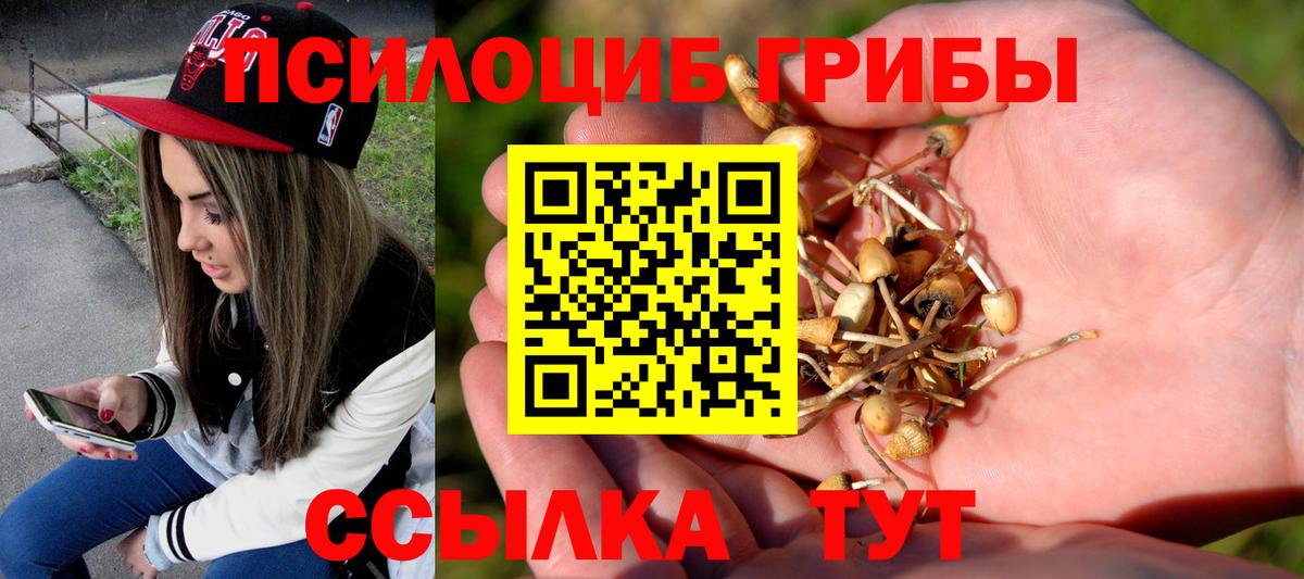 Псилоцибиновые грибы Magic Shrooms  Вход с VPN  Псилоцибиновые грибы MAGIC MUSHROOMS  Зерноград 